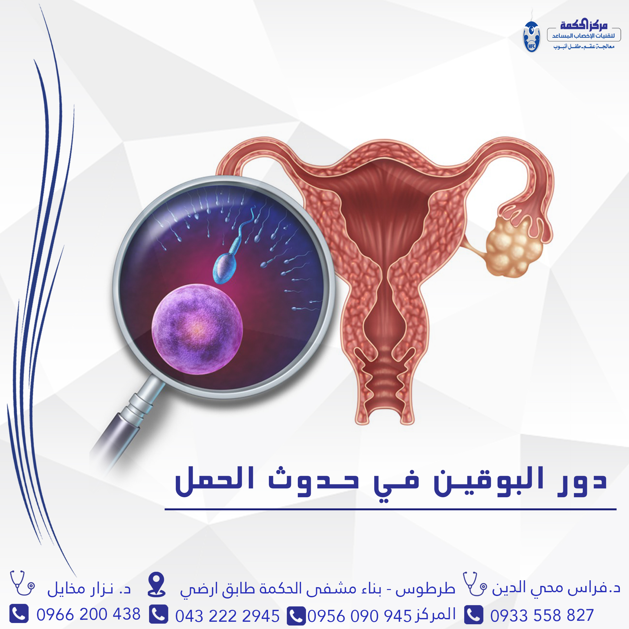 اهمية البوقين في حدوث الحمل